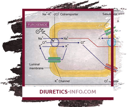 Buy Furosemide Online | Cheap & Quality Drugs Without Prescription